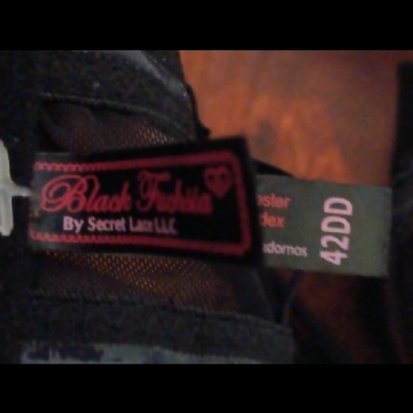 Black Fushia By Secret Lace Woman's Bra Size 42DD Black - Picture 3 of 4